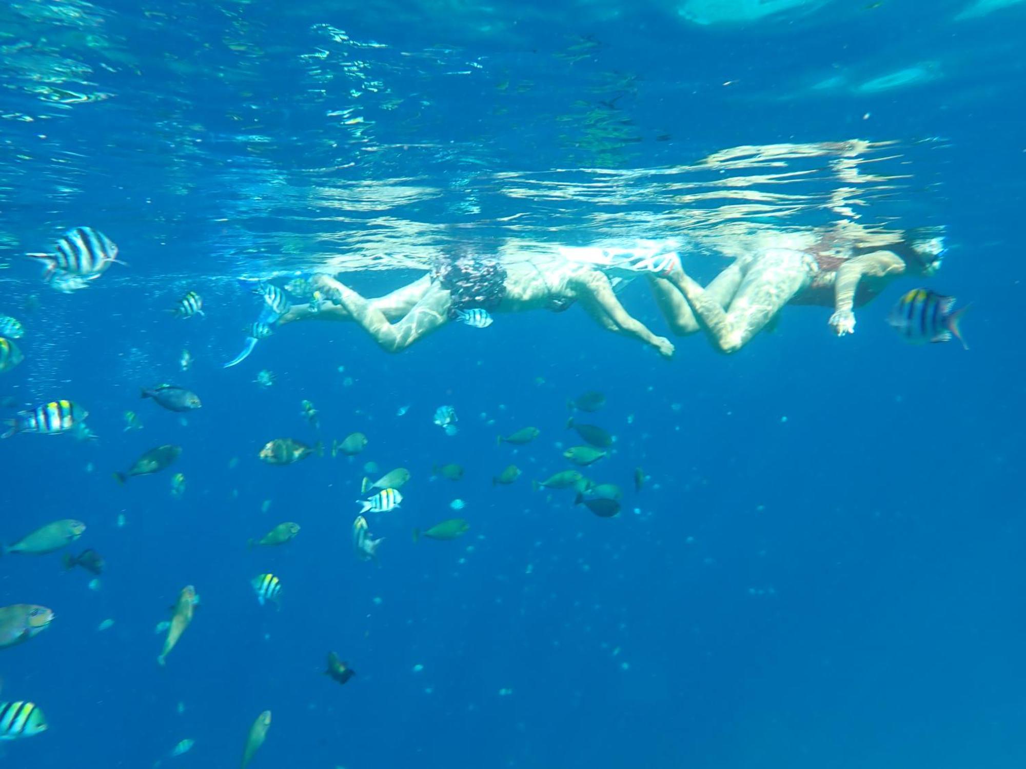 United Colors Of Lembongan 호텔 외부 사진