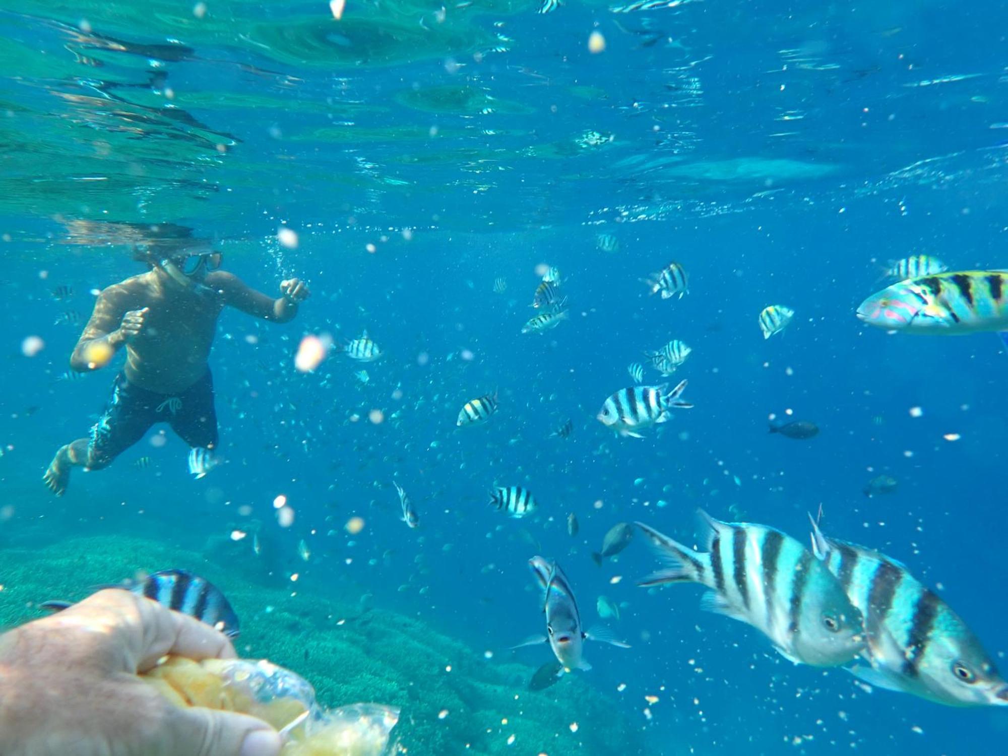 United Colors Of Lembongan 호텔 외부 사진